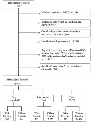 Association Between Funisitis and Childhood Intellectual Development: A Prospective Cohort Study